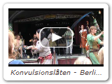 Konvulsionsl ten - Berlin-Hellersdorf 2009 - Cocolorus Diaboli